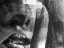 Never%20Say (thumbnail)