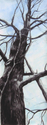 Silent%20Encroachment (thumbnail)