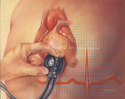 Illustration-Cardiac Auscultation, Heart, Chest, Stethoscope, Heart Beat, Heart Rate