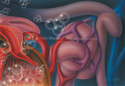 Illustration-Glomerulosclerosis and Renal Failure, Renal Capillaries, Kidneys, Glomerulus, Loop of Henle