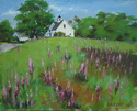 North Deer Isle, Lupines