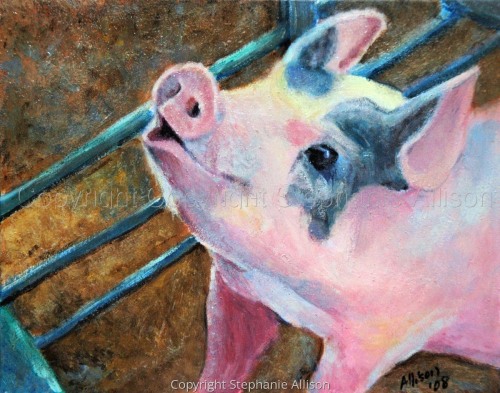 Painting-Animals-This Little Piggy