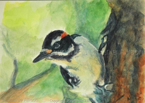 Painting-Wildlife-Woodpecker