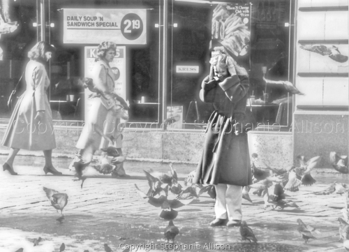 Photography-Figurative-The Birds!