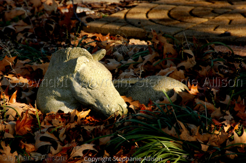 Photography-Landscape-Resting Place