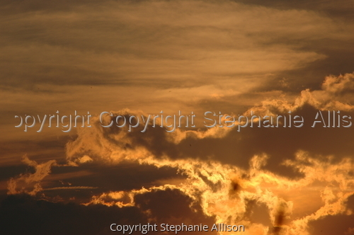 Photography-Nature-Sunset over Wit's End