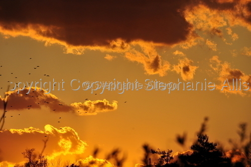 Photography-Landscape-Sunset over Wit's End