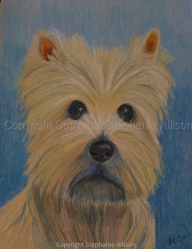 Drawing-Animals-Puppy Sketch