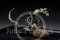 Dragon%20Sculpture (thumbnail)