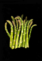 Photography--Color-FoodAsparagus Large Group