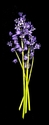 Photography--Color-FloralBluebells Vertical Bouquet