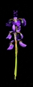 Photography--Color-FloralIris, Japanese, Vertical
