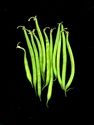 Photography--Color-FoodGreen Bean Bouquet