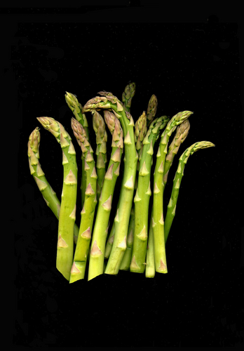 Photography-Food-Asparagus Large Group