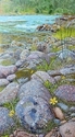 River%27s%20Edge (thumbnail)