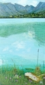 Pause%20for%20Reflection (thumbnail)