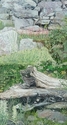 By%20the%20Roadside (thumbnail)