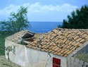 After%20the%20Earthquake%20-%20SOLD (thumbnail)