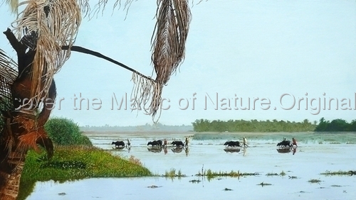 Early%20Morning%20in%20Kerala%20 (thumbnail)