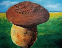 PORCINI%20PARADISO (thumbnail)