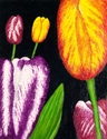 Painting--Acrylic-FloralRembrandt Tulips (large)