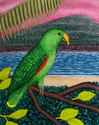 Painting--Acrylic-WildlifeMale Eclectus Parrot