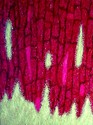Painting--Acrylic-AbstractTree Bark Abstract