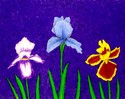 Painting--Acrylic-FloralIrises