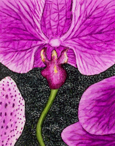 Painting-Floral-Moth Orchids