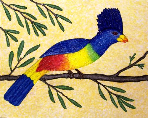 Painting-Wildlife-Giant Blue Turaco