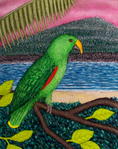 Painting-Wildlife-Male Eclectus Parrot