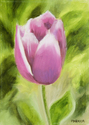 Painting--Oil-BotanicalFlower Series #1: Pink Tulip