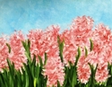 Painting-Flower Series #2 Pink Hyacinth