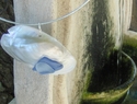 Jewelry-Shell, Blue Sea Glass