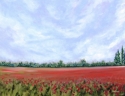 Painting--Oil-LandscapePostcard From Provence: Poppies