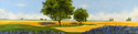 Painting--Oil-LandscapeProvence Countryside