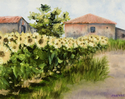 Painting--Oil-LandscapeTuscany Sunflowers