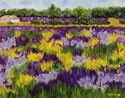 Painting--Oil-LandscapeYellow and Lavender Field