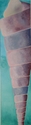 Sentinel%201 (thumbnail)