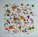 Ruff (thumbnail)