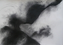 CHARCOAL%2FTREE%20SHADOWS (thumbnail)