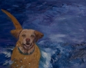 Waterdog (thumbnail)