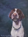 Jack (thumbnail)