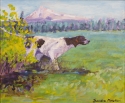 Pointer%20in%20the%20Meadow (thumbnail)