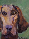 Hound (thumbnail)