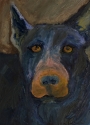 Sayulita%20Guard%20Dog (thumbnail)