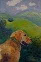 Hills%20of%20the%20Golden (thumbnail)