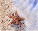 Washed Ashore