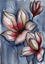 Magnolias