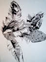 Illustration-Feathers (2004) - Sold